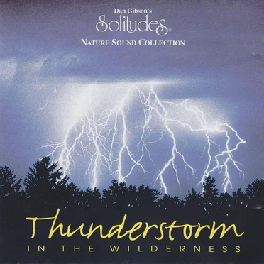 Thunderstorm in the Wilderness