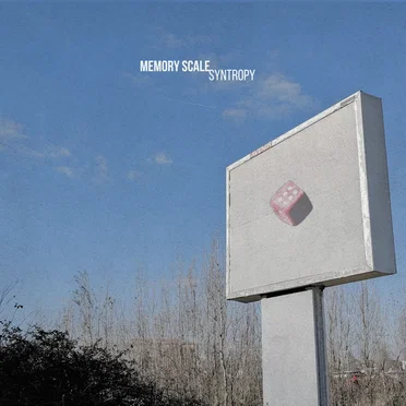 Syntropy by Memory Scale - album cover
