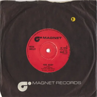Gee Baby by Peter Shelley - album cover