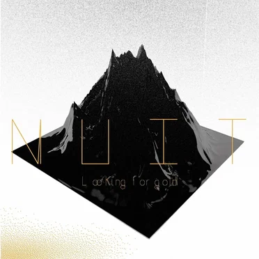 Looking For Gold by N U I T - album cover