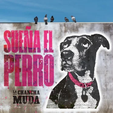 Sueña el perro