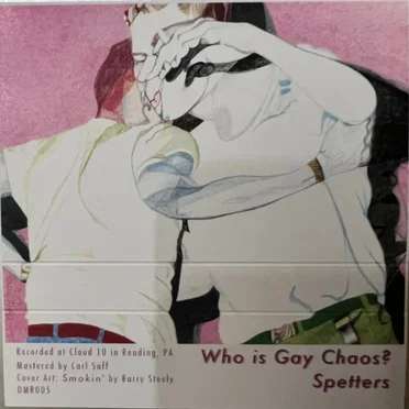 Who is Gay Chaos? by Spetters - album cover