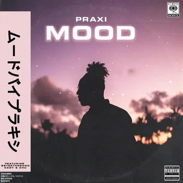 Mood by Praxi - album cover