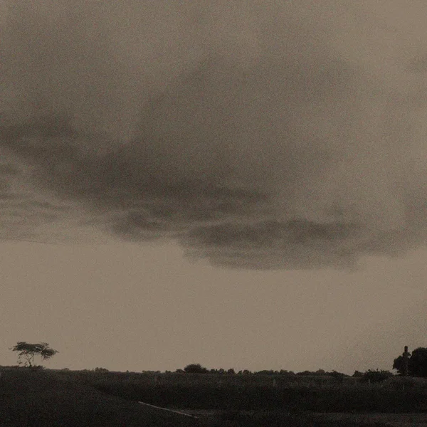 Stormgarden