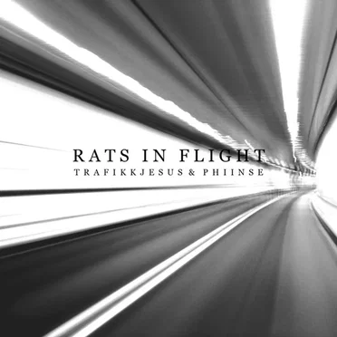 Rats In Flight