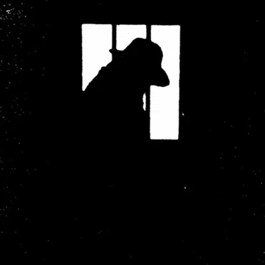 … It’s Jayle Time!