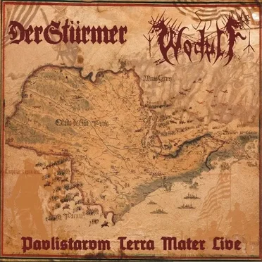 Der Stürmer