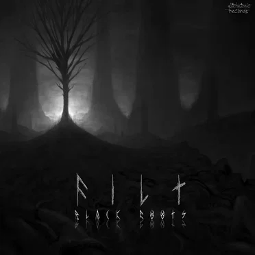 Black Roots by Filt - album cover