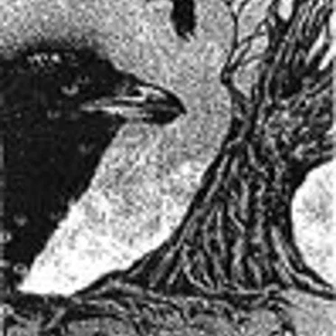 Songs of the Nightbird by Maleficia - album cover