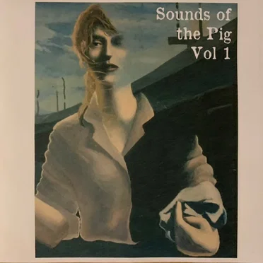 Sounds of the Pig Vol 1 by Various Artists - album cover
