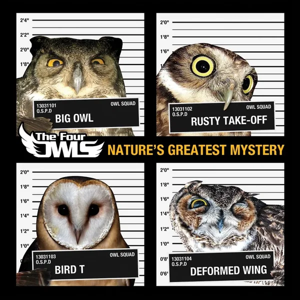 Nature’s Greatest Mystery