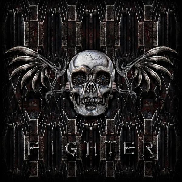 Fighter