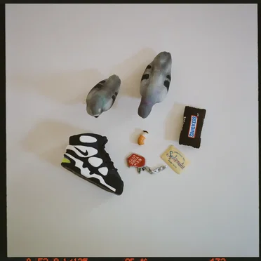 Don’t Feed the Pigeons