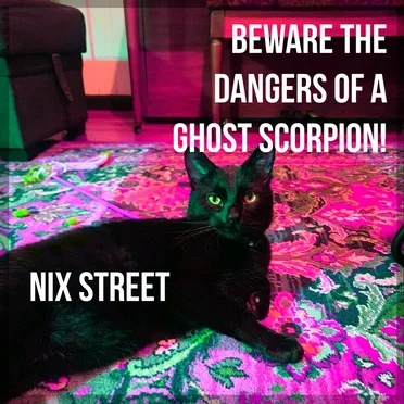 Nix Street