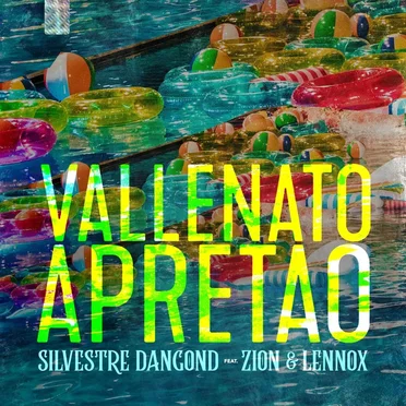 Vallenato apretao (remix)