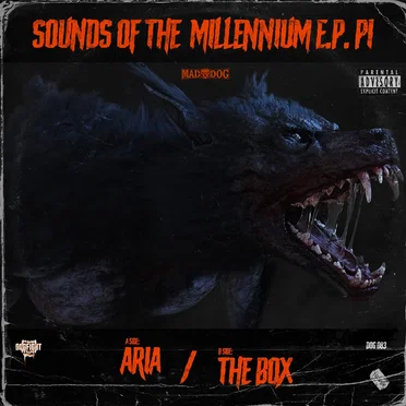 Sounds of the Millennium E.P. P1