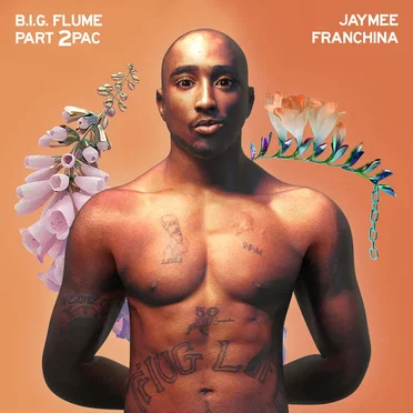 B.I.G. Flume Part 2Pac by Jaymee Franchina - album cover
