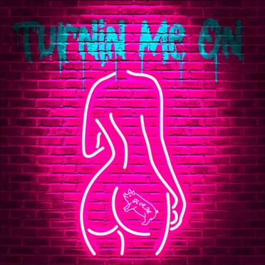 Turnin Me On by H.A.M - album cover
