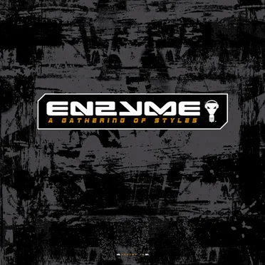 A Gathering of Styles by Various Artists - album cover