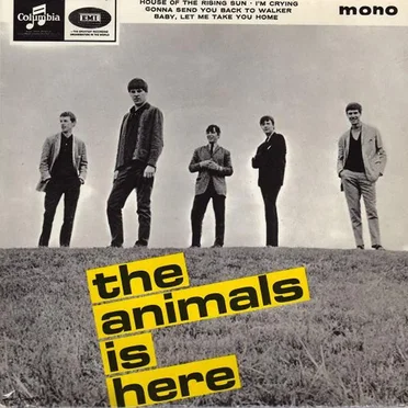 The Animals Is Here