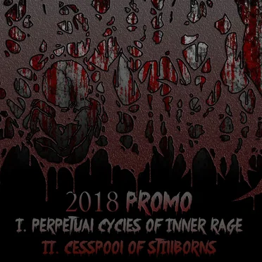 2018 Promo