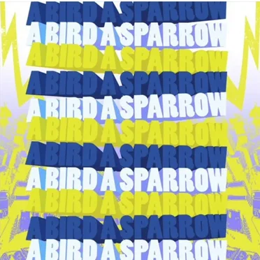 A Bird A Sparrow by A Bird A Sparrow - album cover