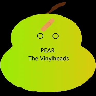 The Vinylheads