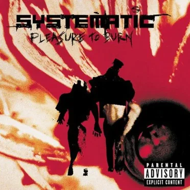 Pleasure to Burn by Systematic - album cover