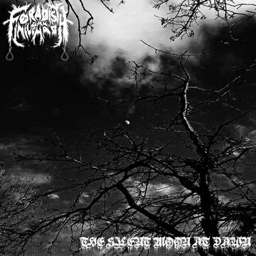 The Silent Moon at Dawn by Foraoisí gan Iniúchadh - album cover