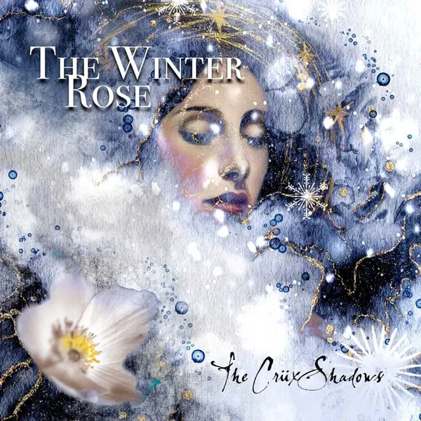 The Winter Rose