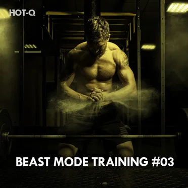 Beast Mode Training, Vol. 03 by Various Artists - album cover
