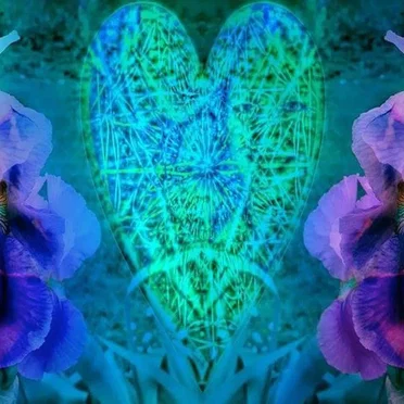 Transcend Beyond