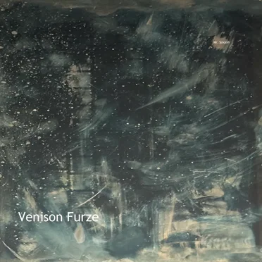 Venison Furze