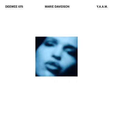 Y.A.A.M. (Soulwax version)