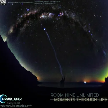 Moments Through Life by Room Nine Unlimited - album cover