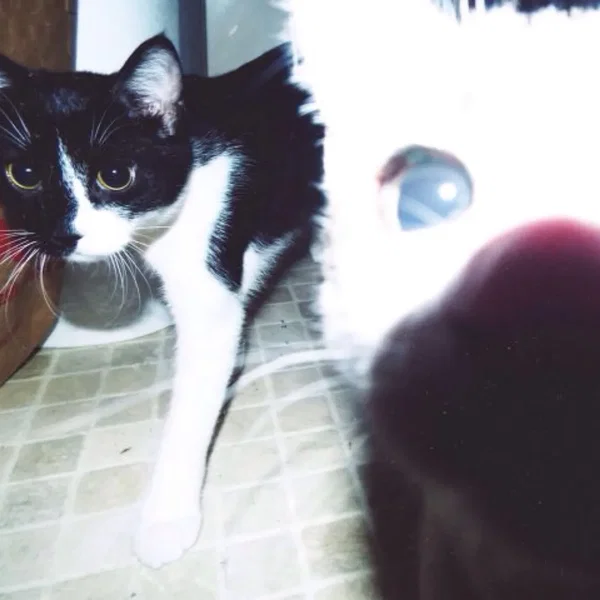 24