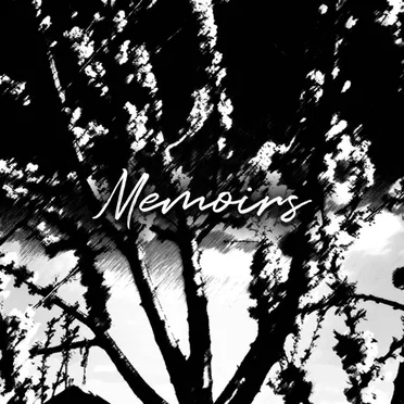 Memoirs by Wrayne - album cover