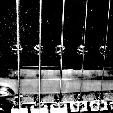 The Reverent Beast of Burden