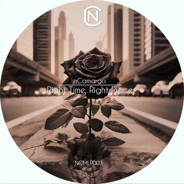 Right Time, Right Place by nCamargo - album cover