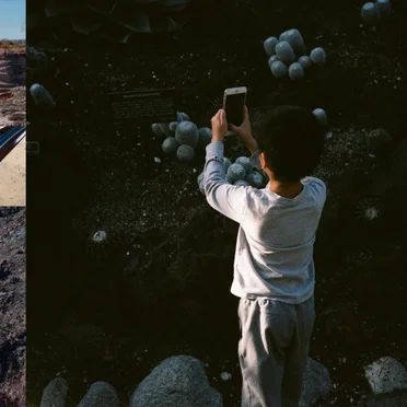 Life, and Another by Mega Bog - album cover
