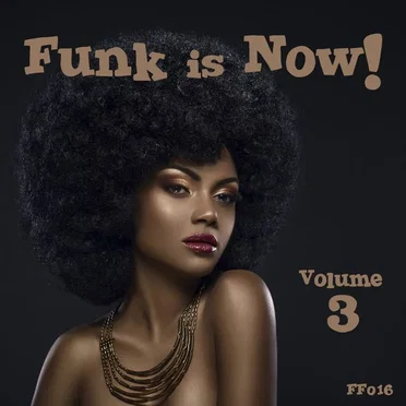 Funk Is Now! Vol. 3 by Various Artists - album cover