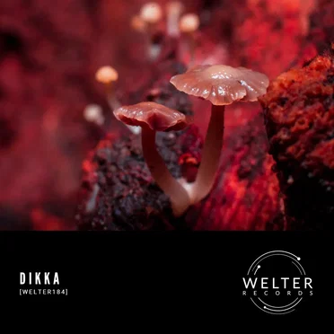 WELTER184 by DIKKA - album cover