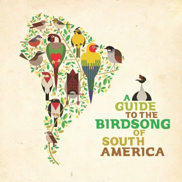 A Guide to the Birdsong of South America by Various Artists - album cover