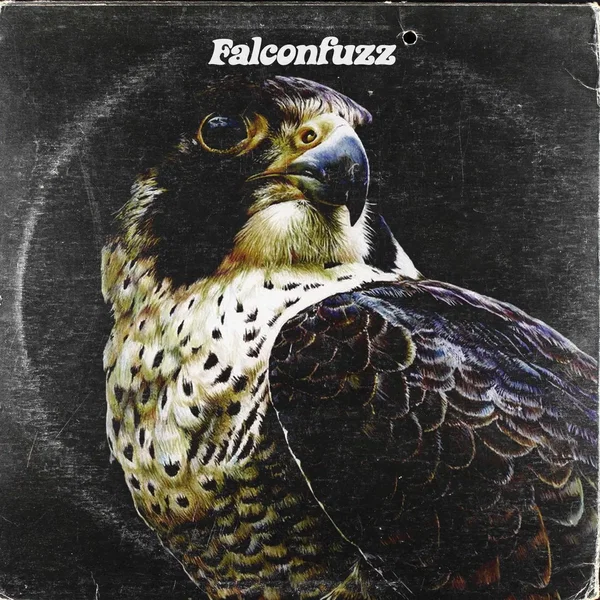 Falconfuzz