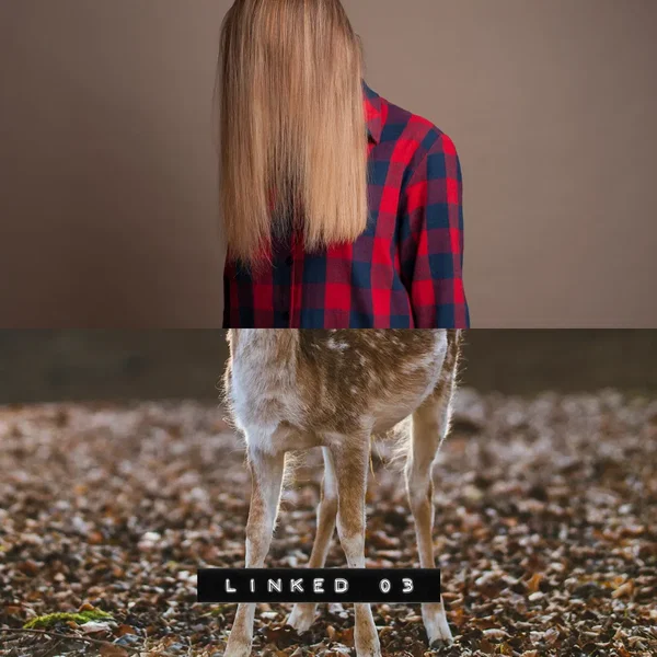 LINKED 03