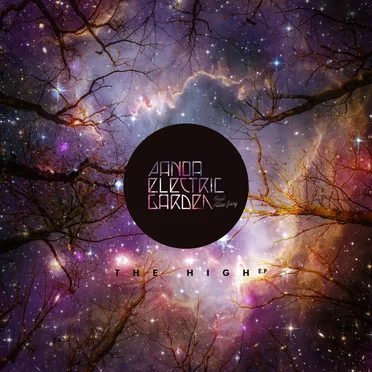 The High by Panda Electric Garden - album cover