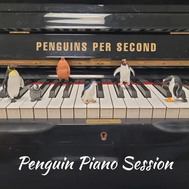 Penguin Piano Session