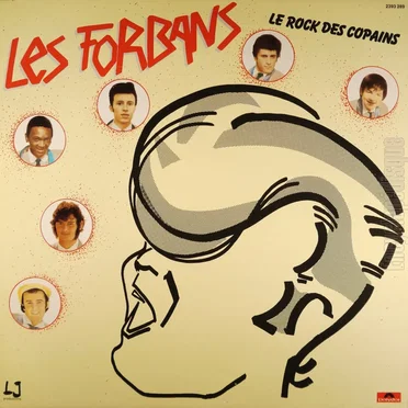 Le Rock des copains