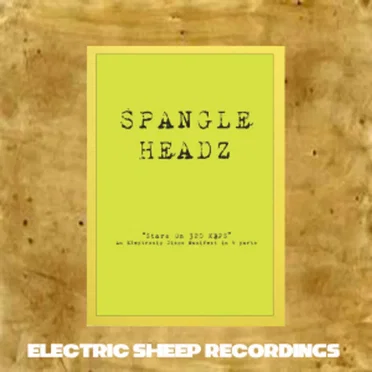 Stars on 320 kbps by Spangle Headz - album cover