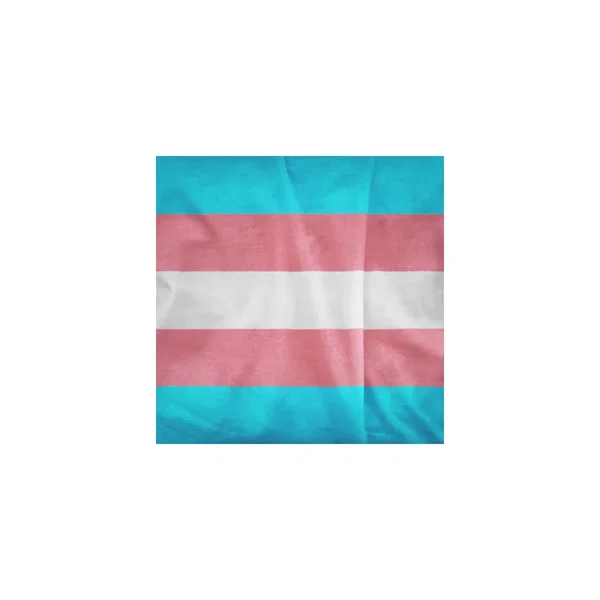 Du mußt nicht die Nacht in dir verschränken mußt sie ins ew'ge Licht versenken (Transgender Day of Remembrance 2020)